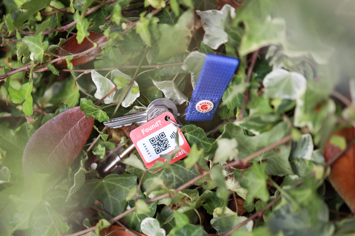 Lost Property Tag (Single)